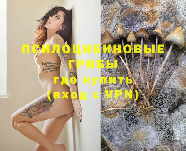 кокаин Новозыбков