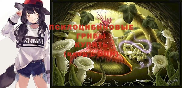 мдпв Новокубанск